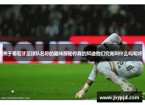 关于葡萄牙足球队名称的趣味探秘你真的知道他们究竟叫什么吗呢呀 关于葡萄牙足球队名称的趣味探秘你真的知道他们究竟叫什么吗呢呀